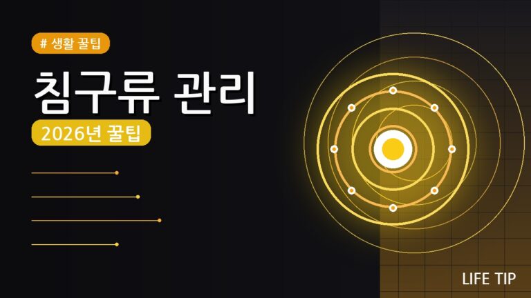 침구류 관리법 2026: 5가지 방법으로 수명 늘리고 위생 UP!
