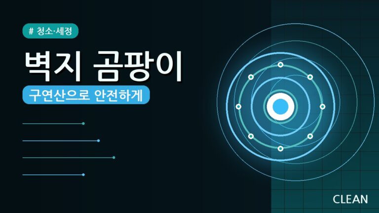 벽지 곰팡이 구연산 제거 방법 (2026) — 꼭 알아야 할 5가지 주의사항