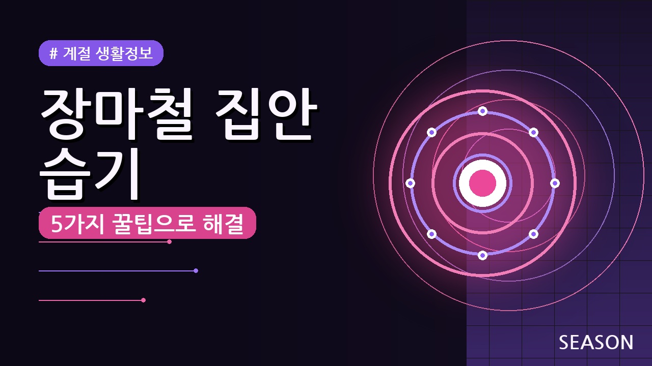 장마철 집안 습기 제거 방법 총정리 (2026) — 5가지 꿀팁