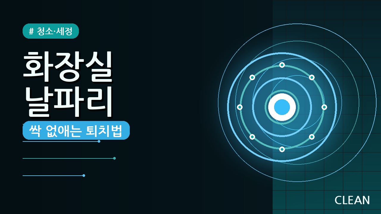 화장실 날파리 초파리 퇴치법 5가지 – 지긋지긋한 벌레, 이렇게 없애보세요!